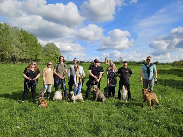 Club Orange Puppy Group Walks