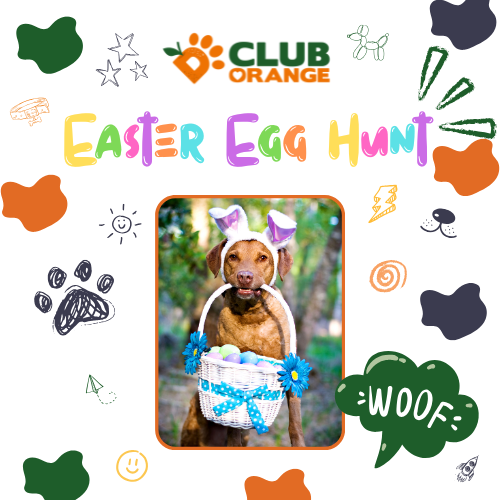 Easter Egg Hunt