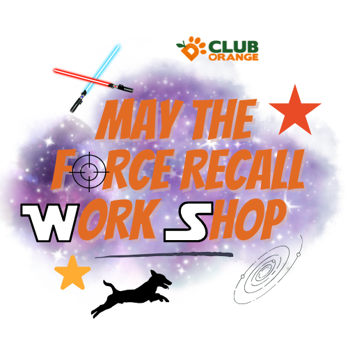 Recall workshop