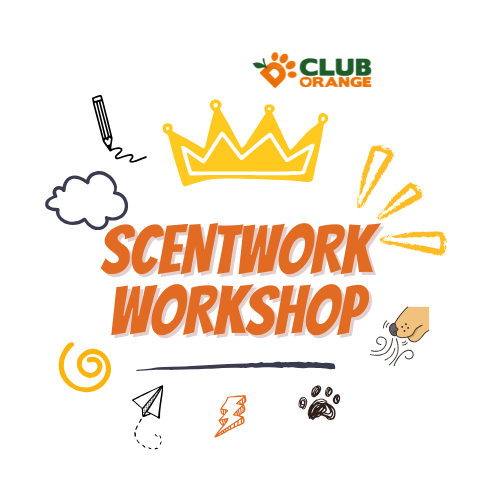 Scentwork Workshop
