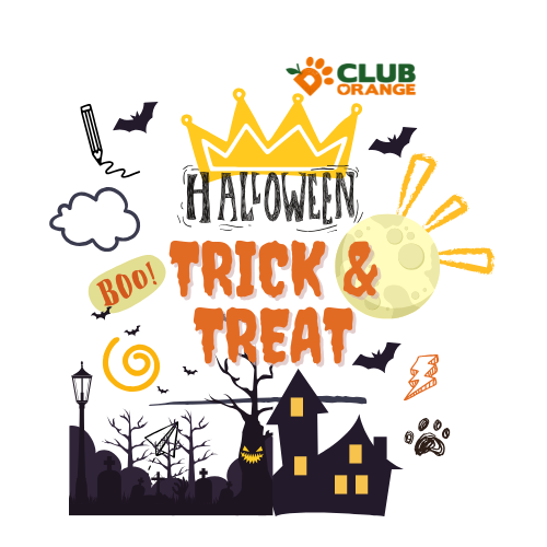 Trick & Treats