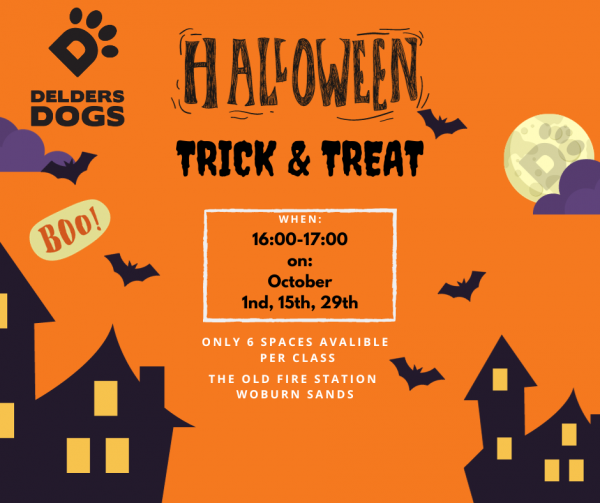 Trick & Treats