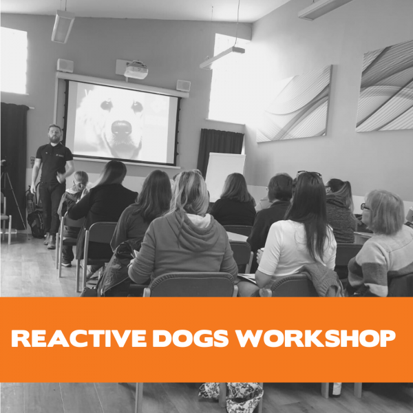 Reactive Dogs Seminar